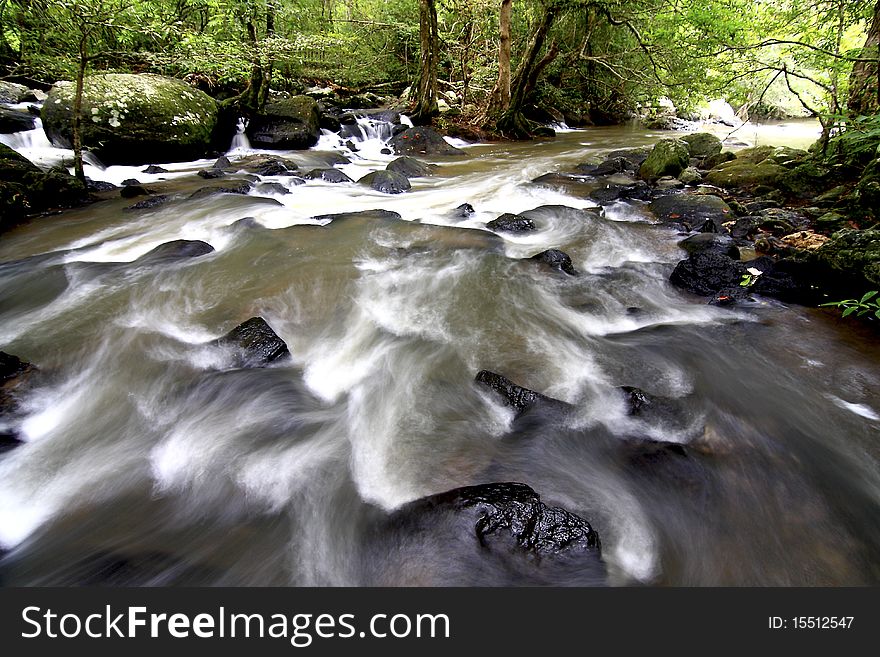 Stream fast  in the forest during the tropical forest