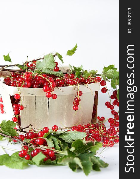 Red currants in the basket