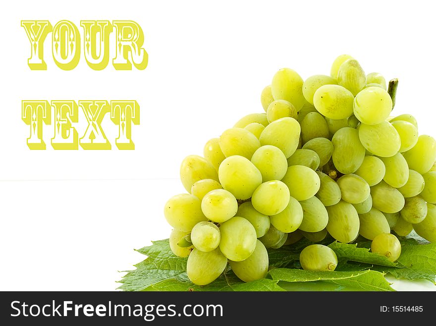 Bunch of grapes on the vine leaves
