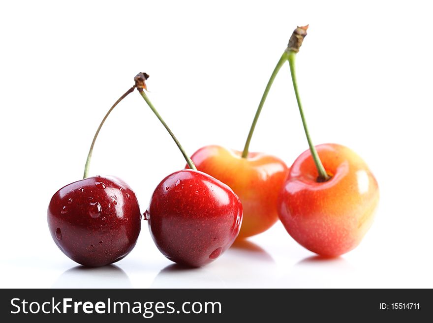 Four cherries on white background