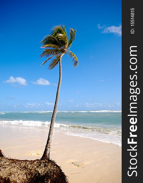 Exotic caribbean beach