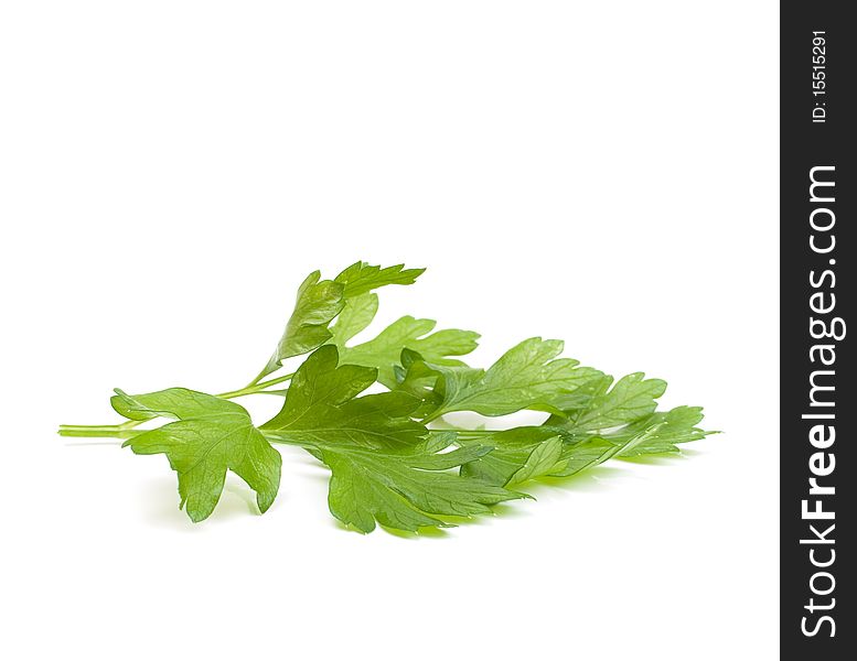 Parsley on a white background