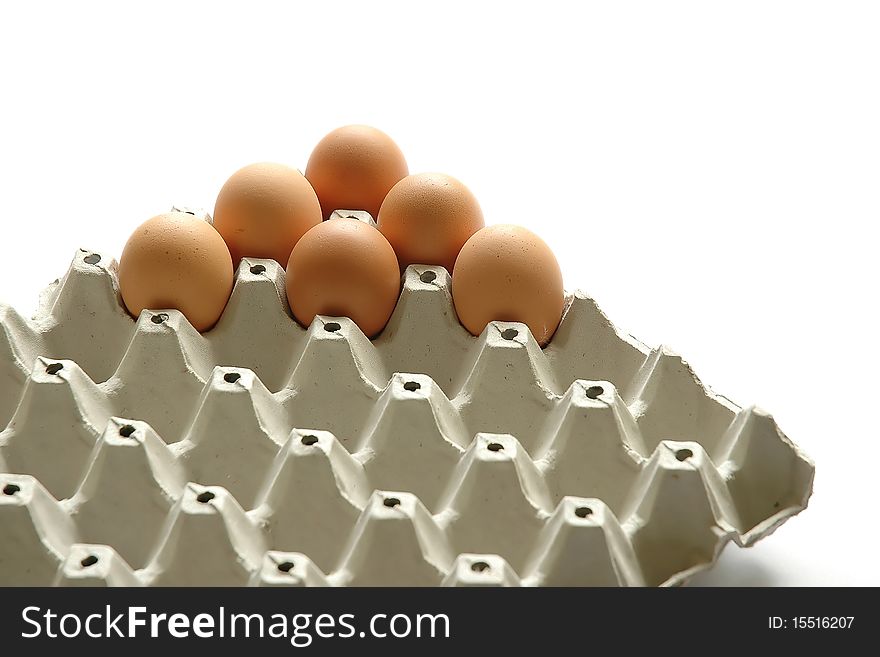 Eggs group on white background