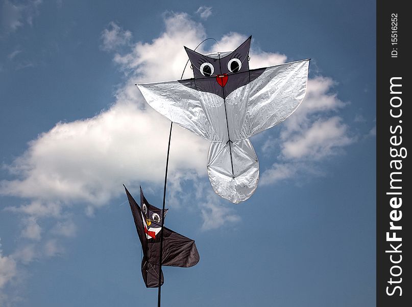 Kites in the sky representing pussycat and her cat in love. Kites in the sky representing pussycat and her cat in love