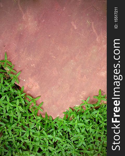 Natural pink stone and green grass