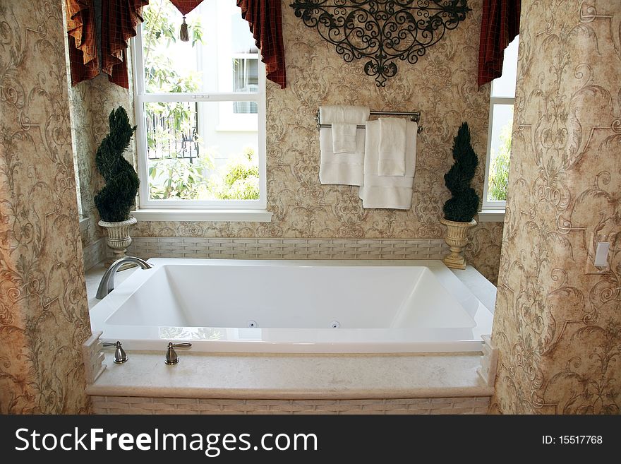 Luxury Home Bathroom