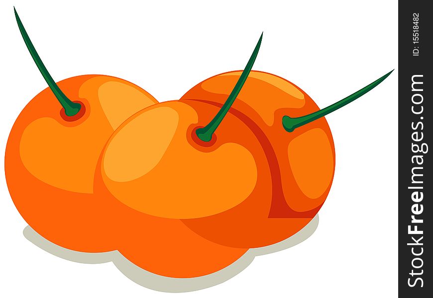 Illustration of isolated oranges on white background