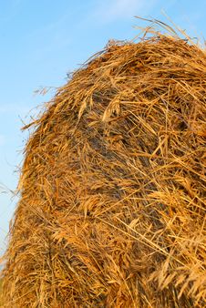 Freshly Rolled Hay Bale Stock Images Freshly Rolled Hay Bale Stock Images
