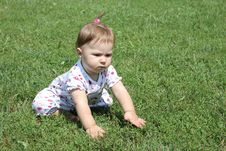 Baby Crawling Royalty Free Stock Image