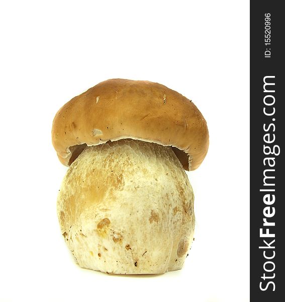 Studio photo of cep on white background