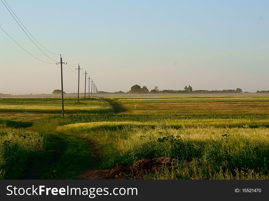 Road through a rural field with wood on horizon. Road through a rural field with wood on horizon