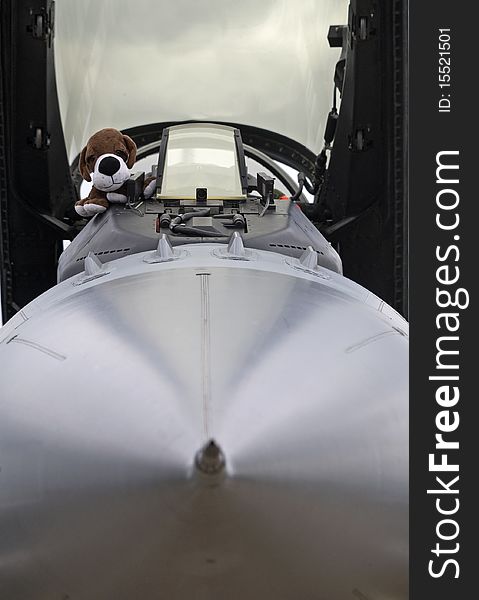 Combat aircraft cockpit with plush dog