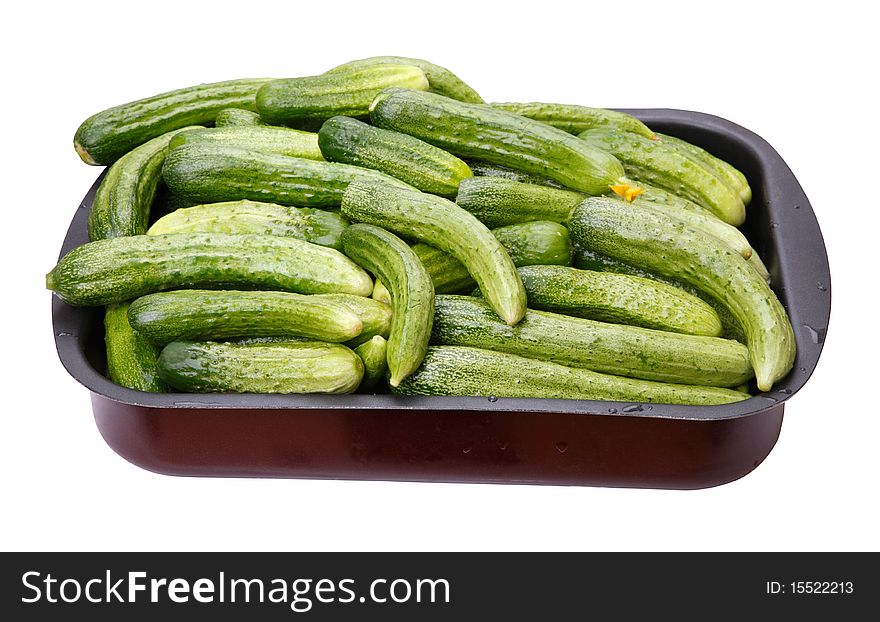 Fresh cucumber in a container. Isolated on white background. Fresh cucumber in a container. Isolated on white background