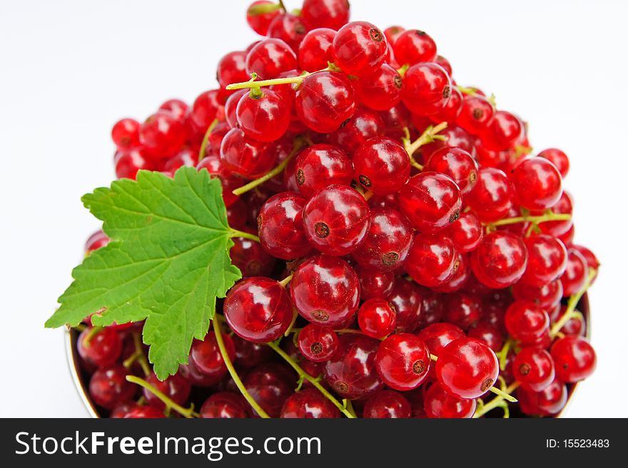 Fresh redcurrant in a bowl