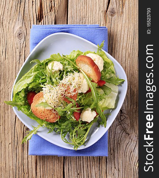 Fresh vegetable salad with crostini - overhead