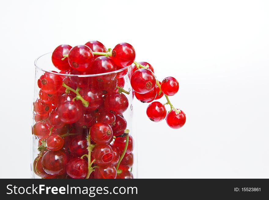 Fresh Redcurrant In Glass