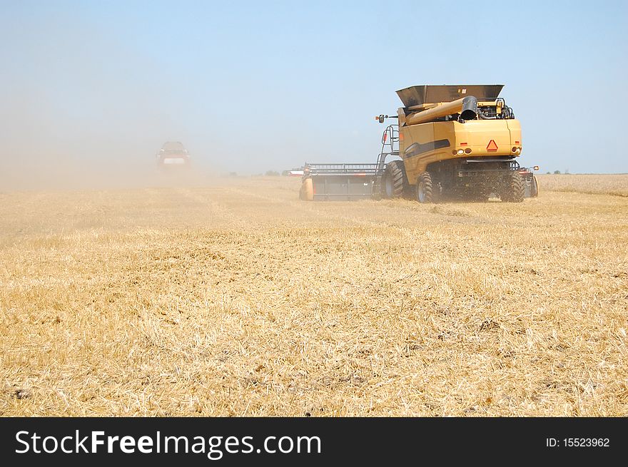 Combines harvest wheat on Ukrainian field. Combines harvest wheat on Ukrainian field.