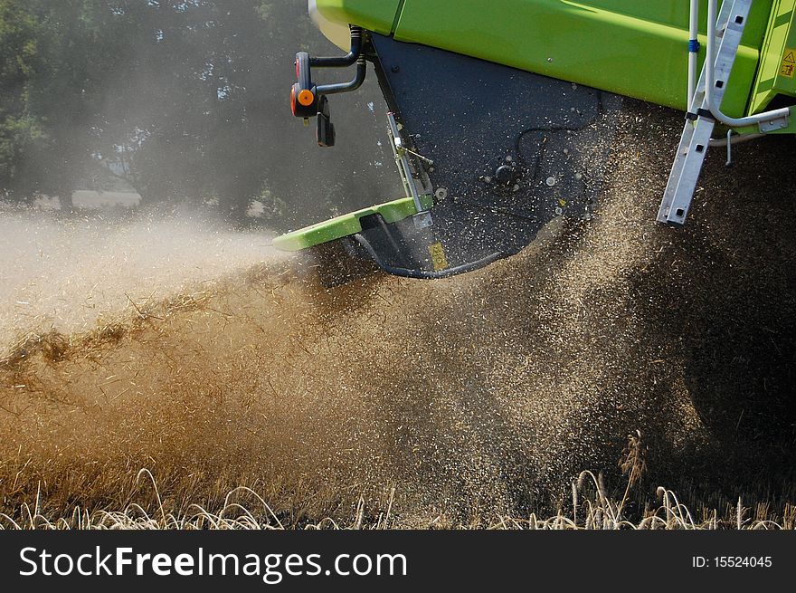 Harvester grinding straw up and spray it to land. Harvester grinding straw up and spray it to land.