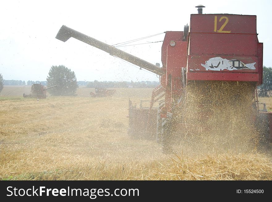 Combines harvest wheat on Ukrainian field. Combines harvest wheat on Ukrainian field.