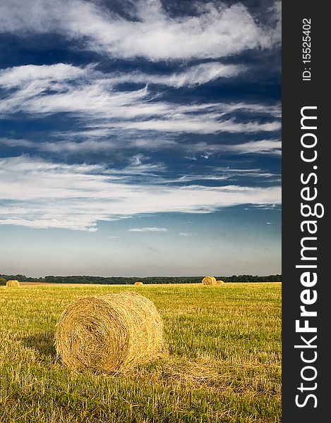 Field with bales against tender clouds.