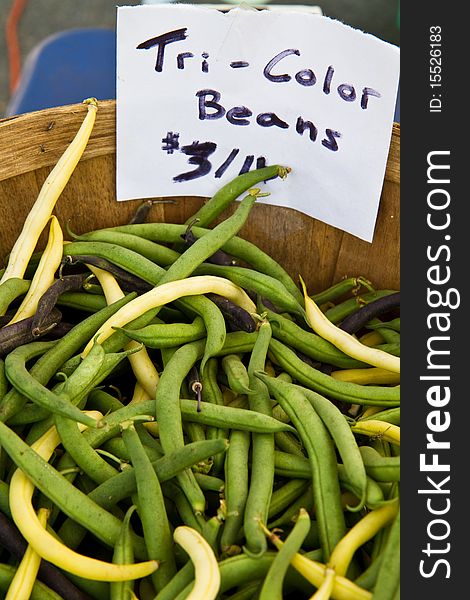 Tri Color Beans for sale at a farmer's market