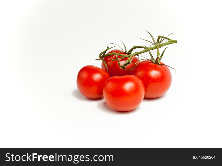Four tomatoes, still on the vine. Four tomatoes, still on the vine
