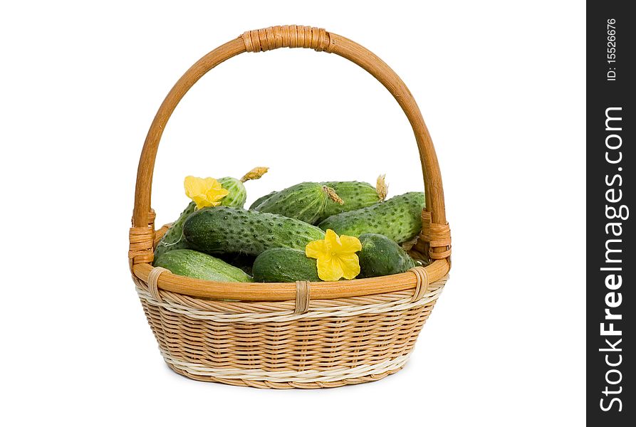 Green cucumber vegetable with flowers isolated