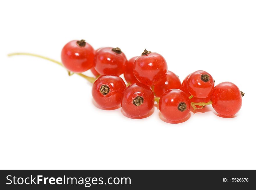 Red currant isolated on white background close up