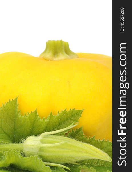 A yellow scalloped squash with a green leaf and bud. A yellow scalloped squash with a green leaf and bud