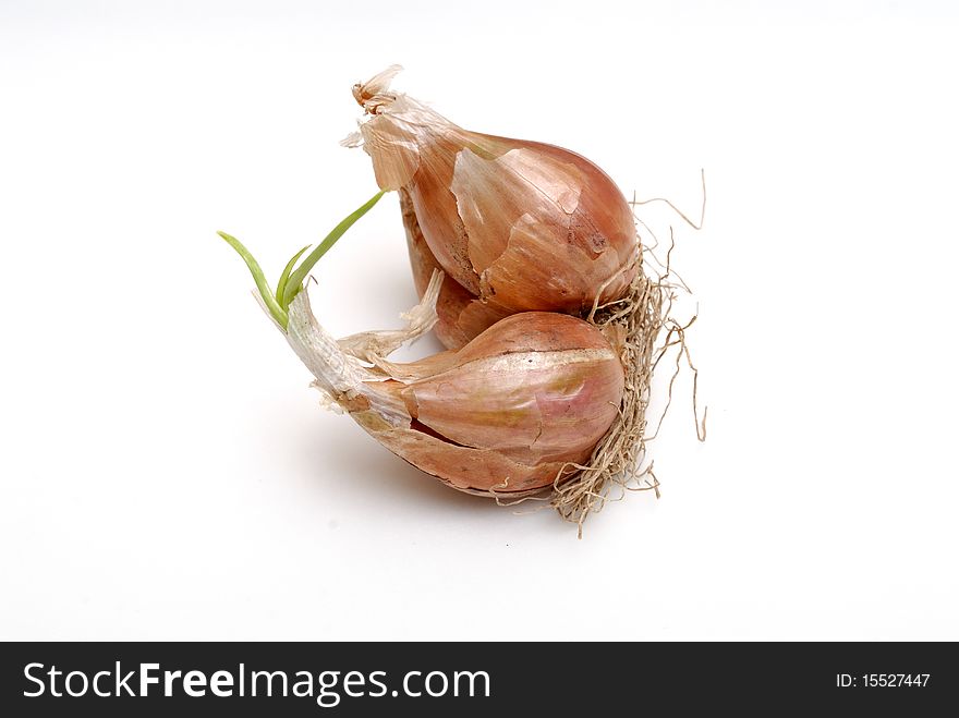 It is bulb onions, isolated.