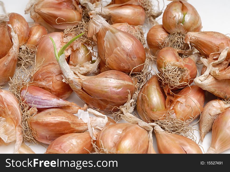 Pile of bulb onions,with root.