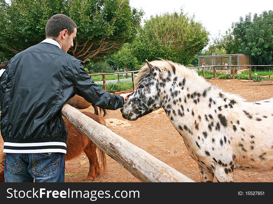 Boy and pony in Zoo. Boy and pony in Zoo.