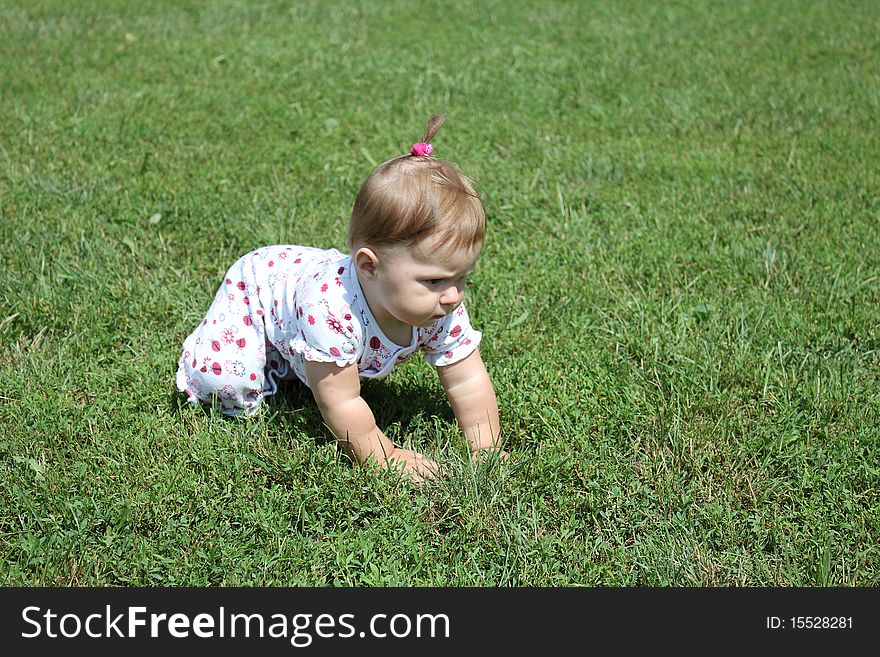 Baby crawling on the green grass