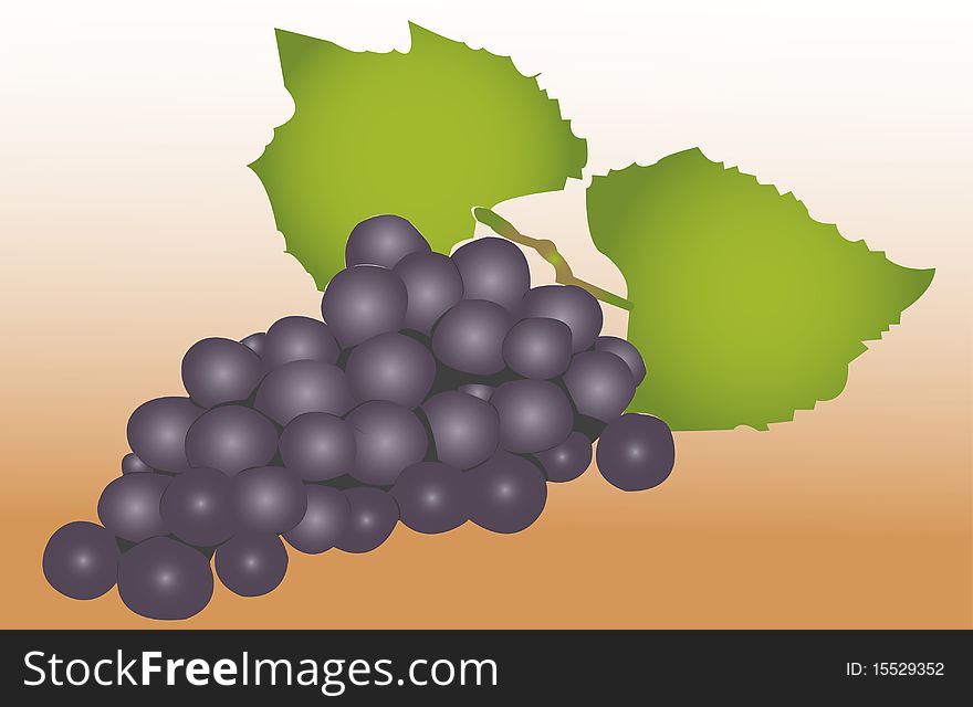 Black grapes with orange white backgraund