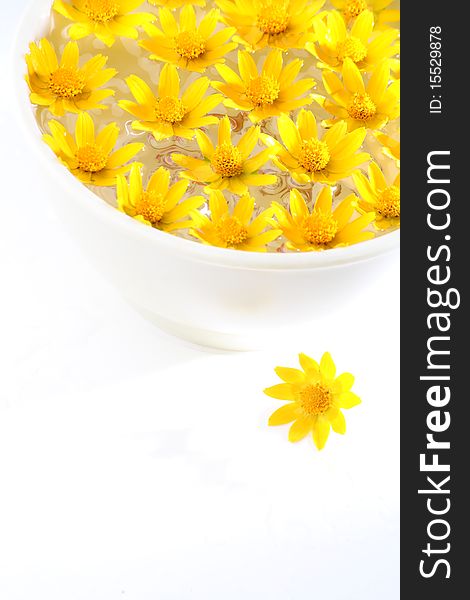 Close up of yellow flowers in water on a white background