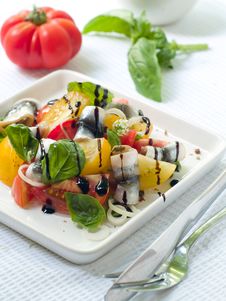 Tomatoes Salad Royalty Free Stock Image Tomatoes Salad Royalty Free Stock Image