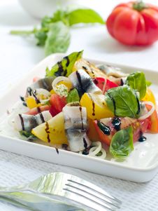 Tomatoes Salad Stock Photo Tomatoes Salad Stock Photo