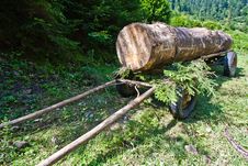 Huge Log Stock Images Huge Log Stock Images