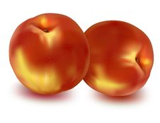 Two Ripe Peaches. Stock Image Two Ripe Peaches. Stock Image