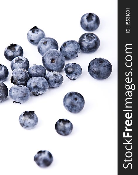 Blueberries With White Background