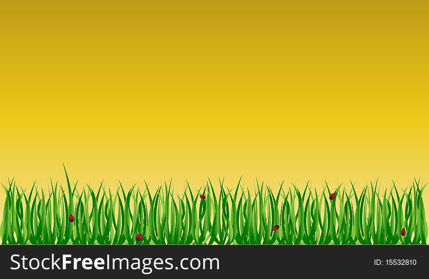 Grass vector background illustration for web or print