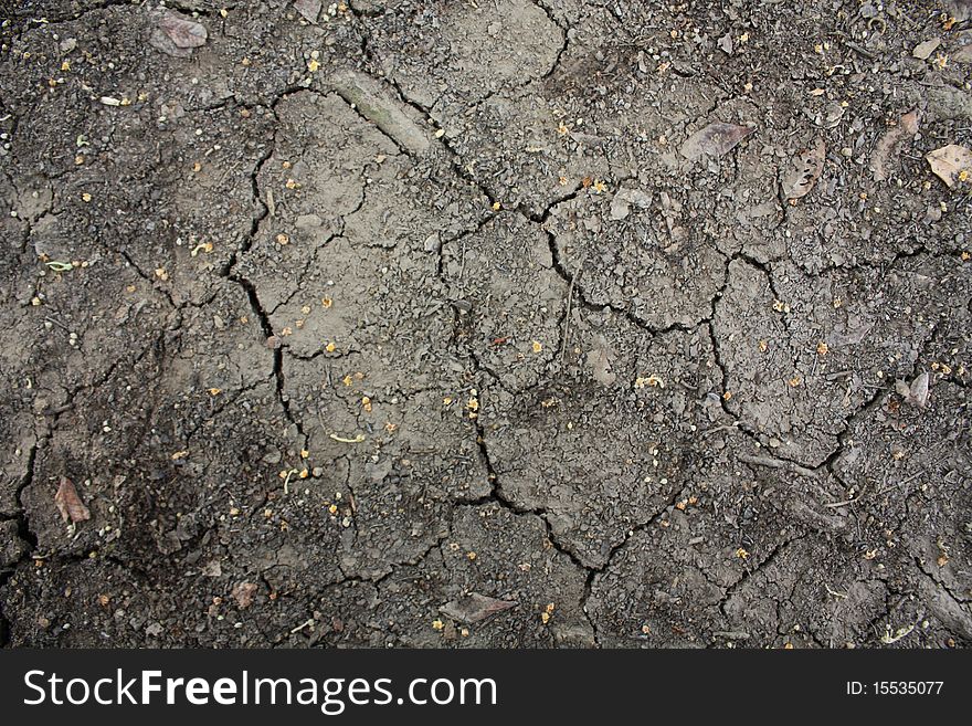 Cracked surface soil in somewhere of Thailand