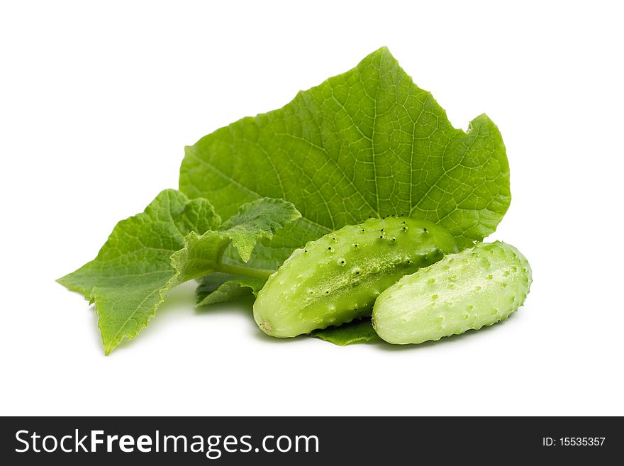 Fresh cucumbers with leaves isolated on a white background.