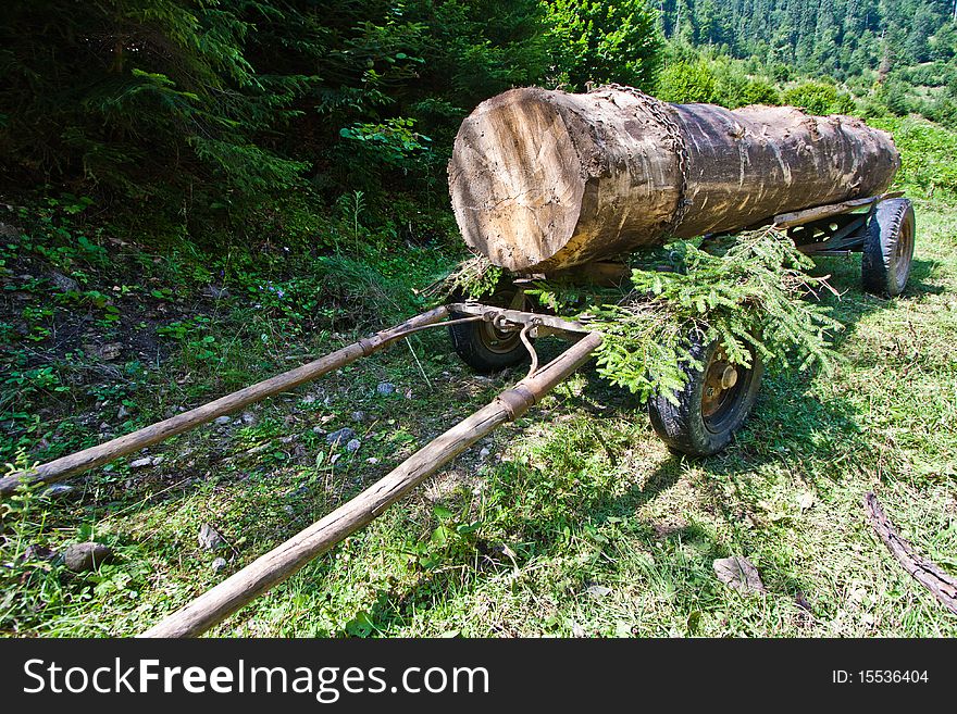 Huge log on a cart. Shot taken in Romania, Hasmas Mountains.