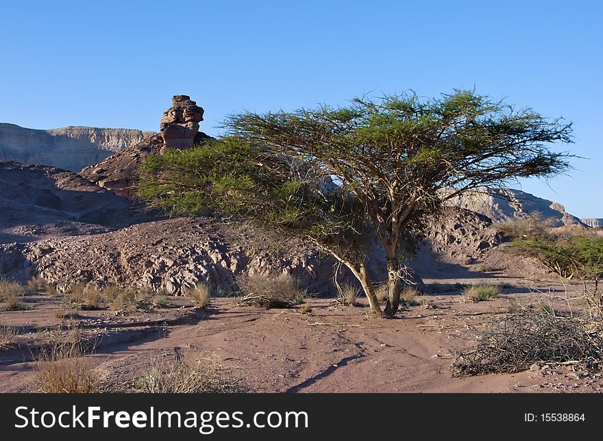 Timna park is a famous geological spot in Israel. Timna park is a famous geological spot in Israel