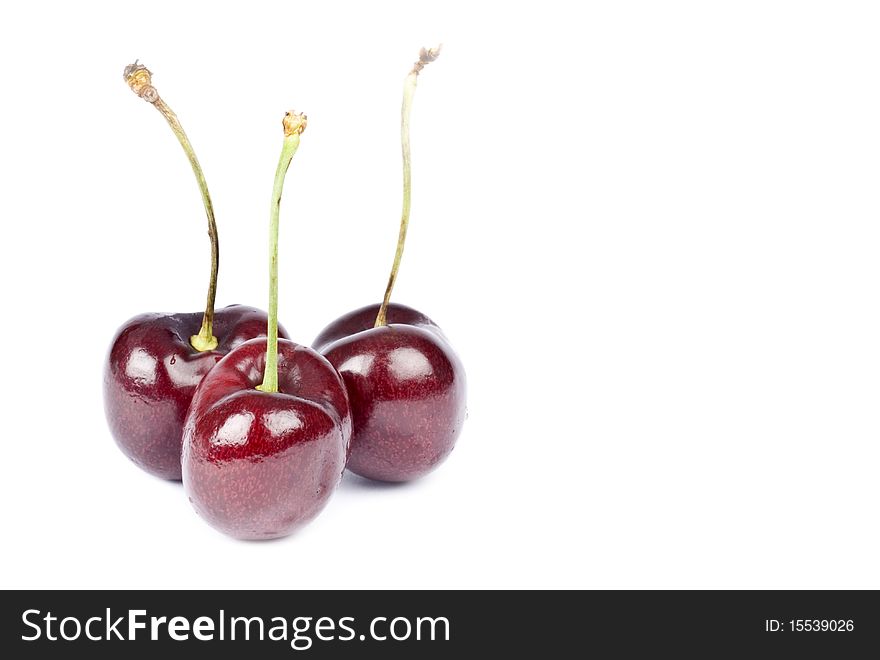 Three Bing cherries on white background. Three Bing cherries on white background.