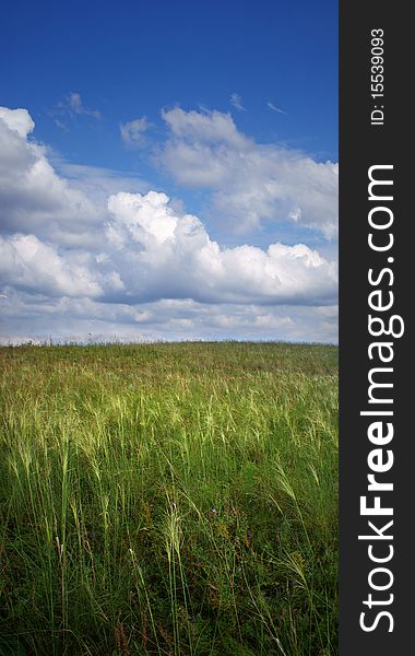 Green field and blue sky, panorama