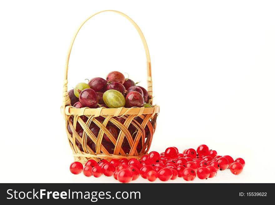 Currants and gooseberries against white background