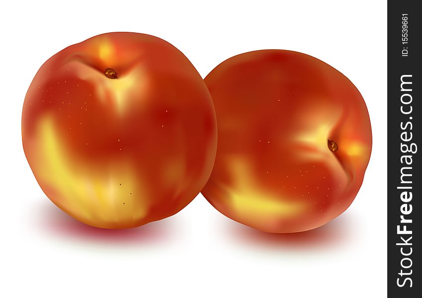 Two ripe peaches. Photo-realistic vector illustration.