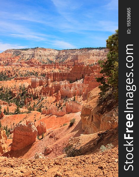 Hoodoos at Bryce Canyon Rim Trail Utah